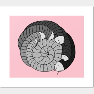 Millipede Posters and Art